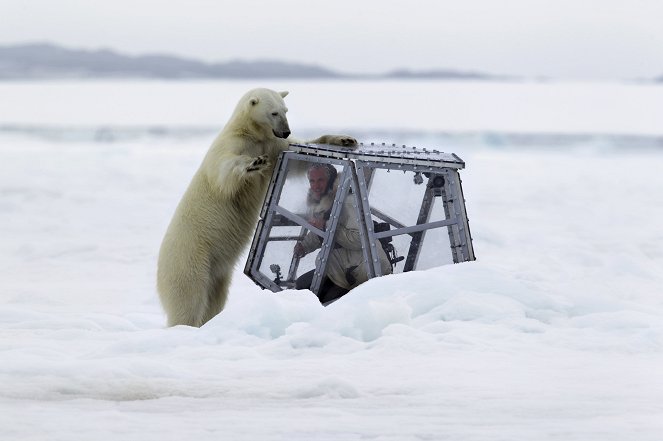 Jääkarhuperheen matkassa - Kuvat elokuvasta