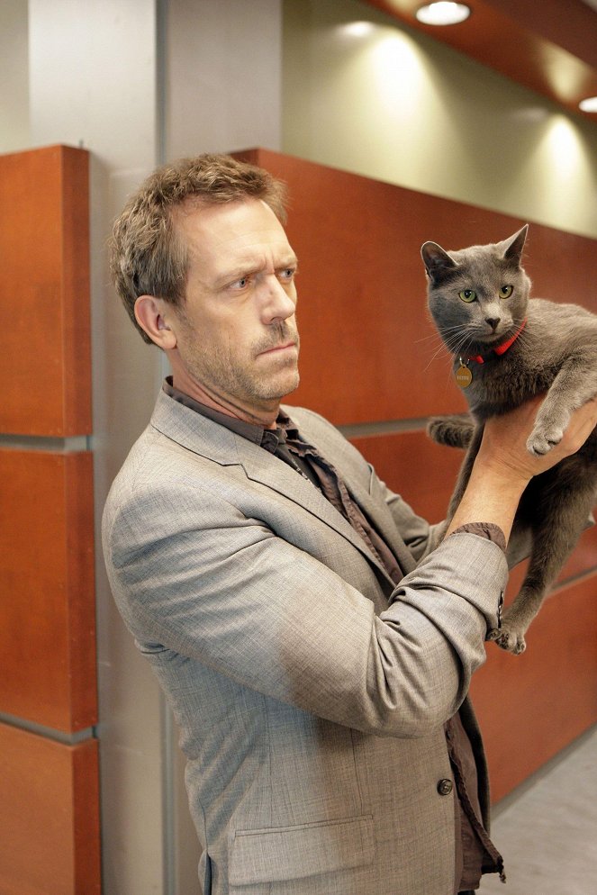 House M.D. - Wenn die Katze kommt - Filmfotos - Hugh Laurie