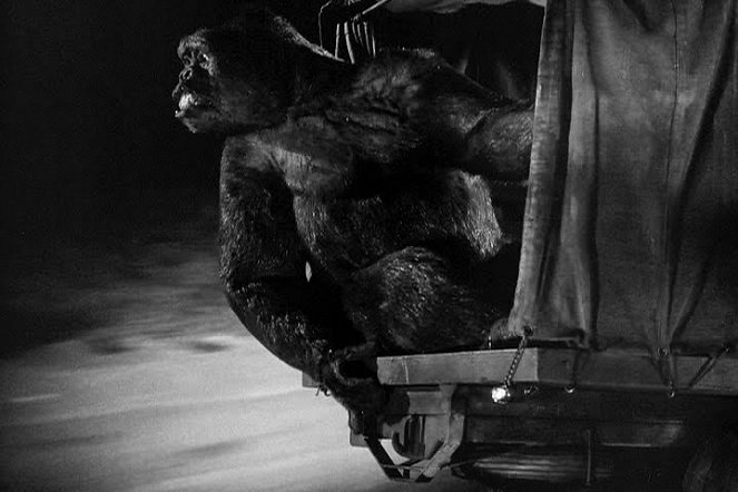 Panik um King Kong - Filmfotos
