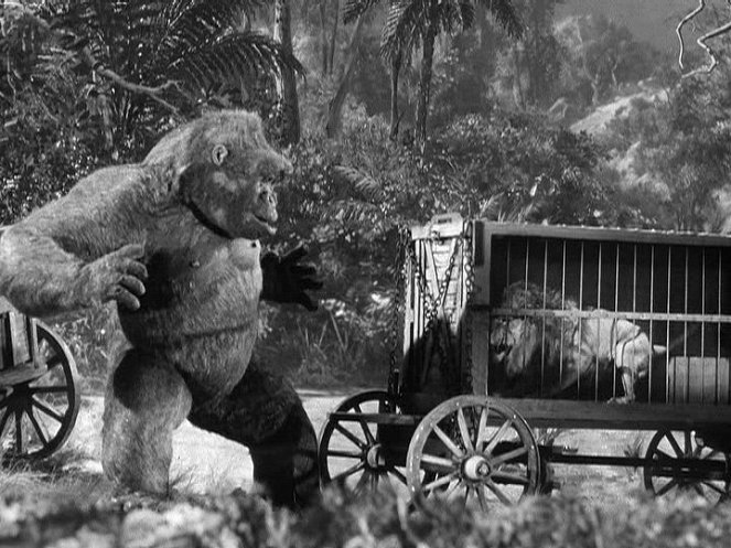 El gran gorila - De la película