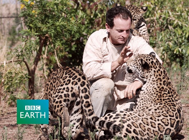 Natural World - Jaguars: Born Free - Filmfotos