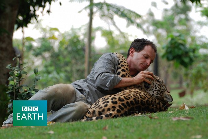 The Natural World - Jaguars: Born Free - De la película