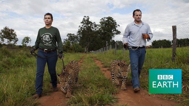 The Natural World - Jaguars: Born Free - Van film