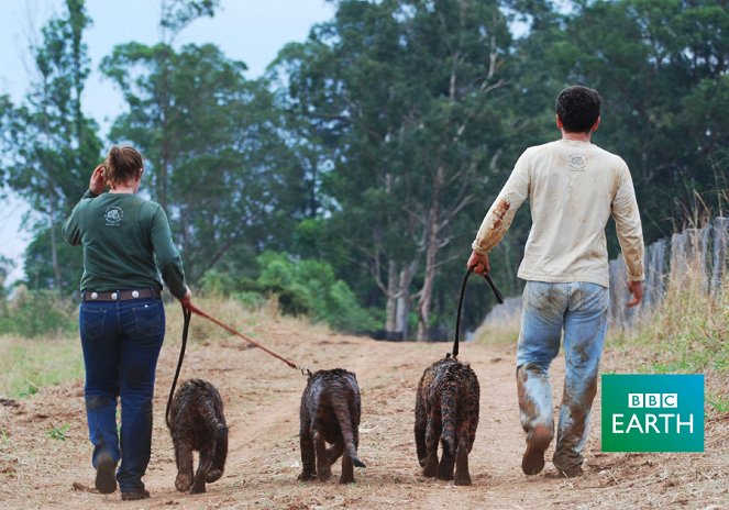 A természeti világ - Jaguars: Born Free - Filmfotók