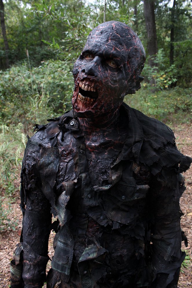 The Walking Dead - A liget - Filmfotók