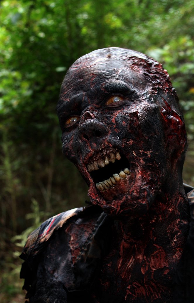 The Walking Dead - Schonung - Filmfotos