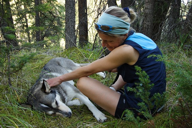 Running with Wolves - Van film