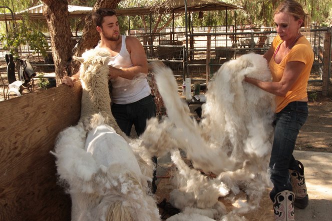 Shear Madness - Photos