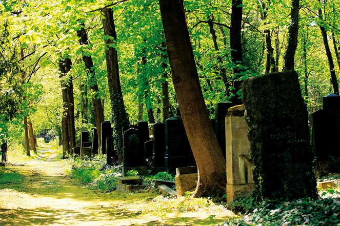Im Himmel, unter der Erde - Der jüdische Friedhof Weißensee - Film