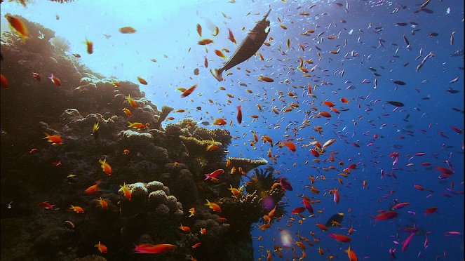 Összefüggő óceán - Filmfotók