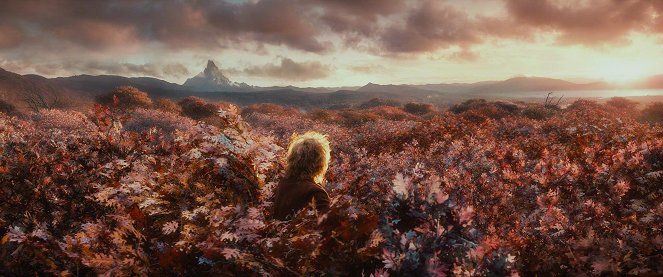 Le Hobbit : La désolation de Smaug - Film
