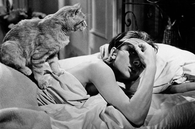 Snídaně u Tiffanyho - Z filmu - kocour Orangey, Audrey Hepburn