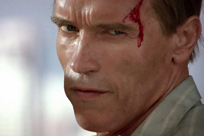 True Lies - Van film - Arnold Schwarzenegger
