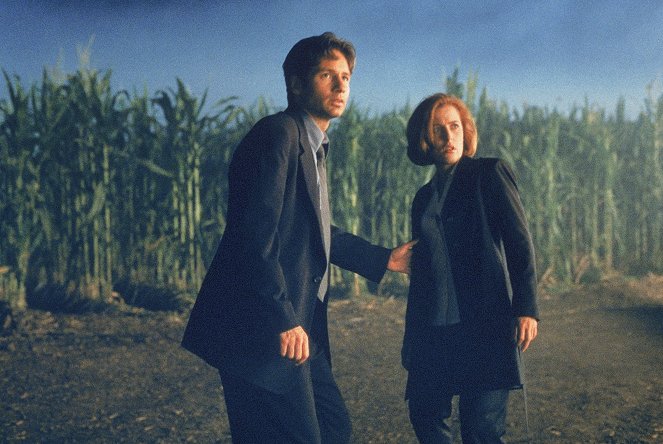 The X Files - Photos - David Duchovny, Gillian Anderson