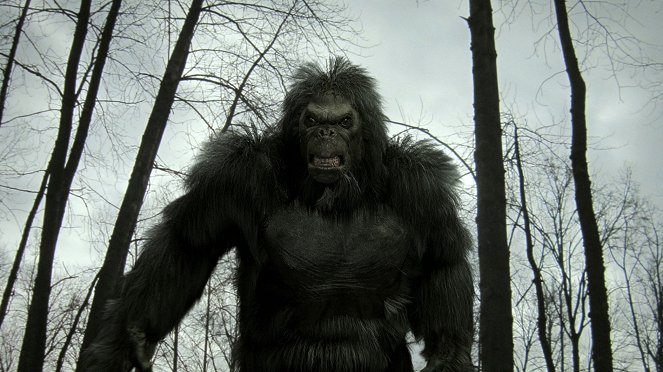 Bigfoot - Film