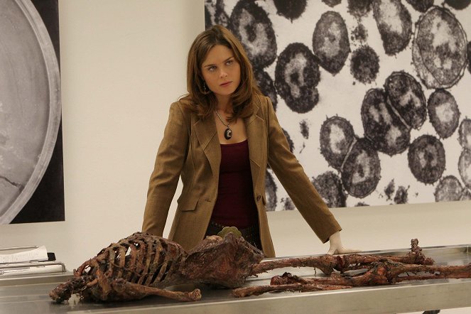 Bones - Nainen lentokentällä - Kuvat elokuvasta - Emily Deschanel