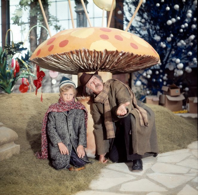 Willy Wonka és a csokigyár - Filmfotók - Peter Ostrum, Gene Wilder