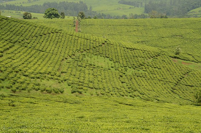 Na cestě - Na cestě po Rwandě - De la película