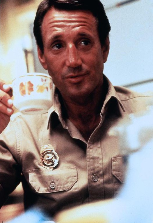 Jaws - Van film - Roy Scheider