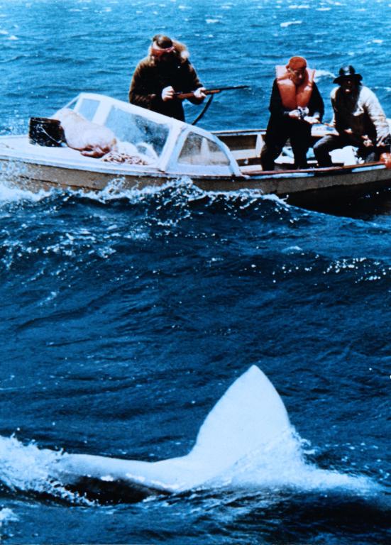 Jaws - Van film