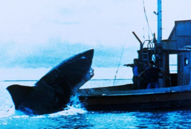 O Tubarão - Do filme