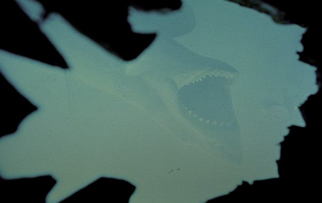 Tiburón - De la película