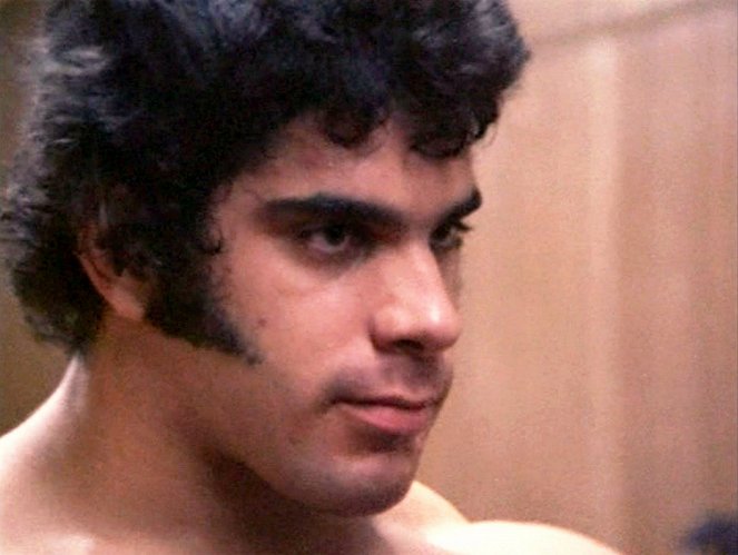 O Homem dos Músculos de Aço - Do filme - Lou Ferrigno