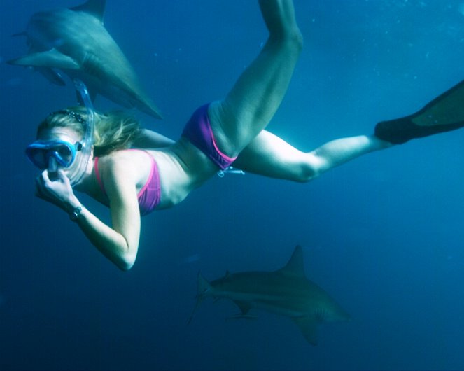 Shark Attack Experiment Live - Photos