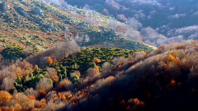 Korsika v barvách čtyř ročních období - Z filmu