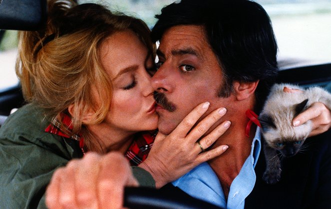 Viaggio con Anita - Van film - Goldie Hawn, Giancarlo Giannini