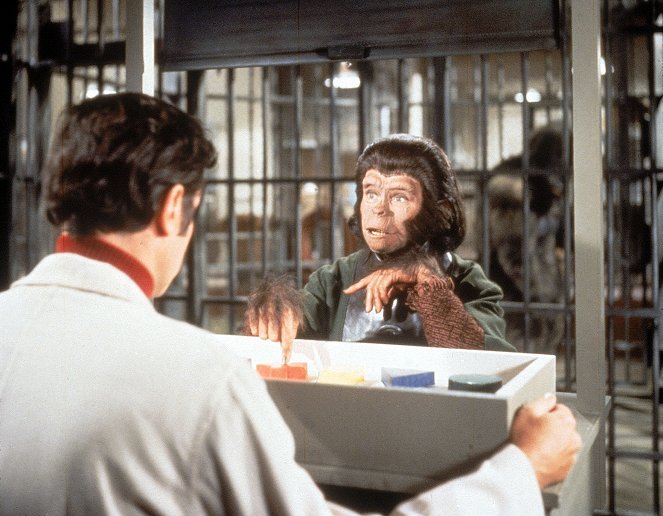 Escape from the Planet of the Apes - Photos - Bradford Dillman, Kim Hunter