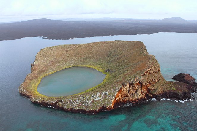 Galapagos: Nature's Wonderland - De la película