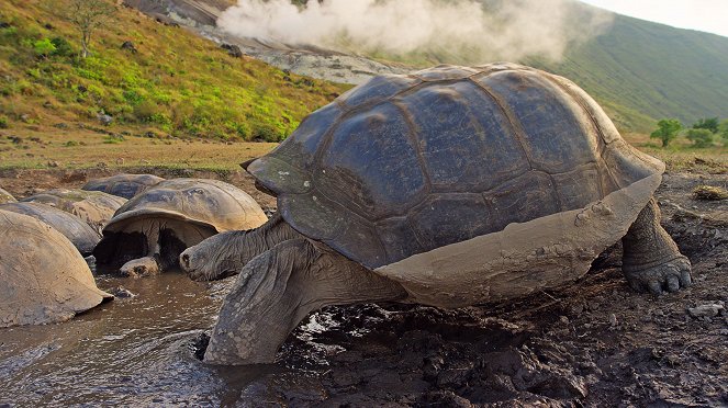 Galapagos: Nature's Wonderland - Van film
