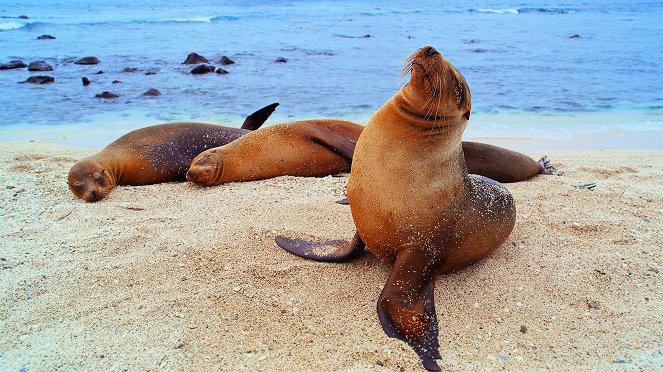 Galapagos: Nature's Wonderland - Filmfotos