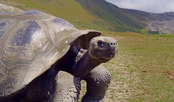 Galapagos: Nature's Wonderland - Photos