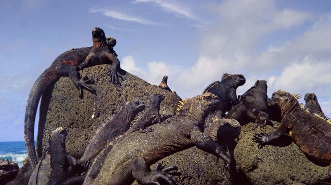 Galapagos: Nature's Wonderland - Van film