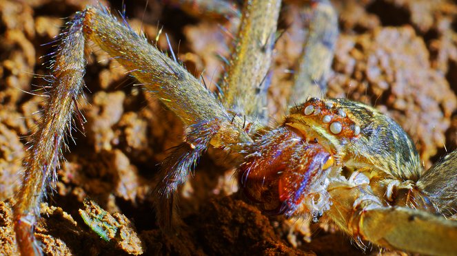 Galapagos: Nature's Wonderland - Filmfotos