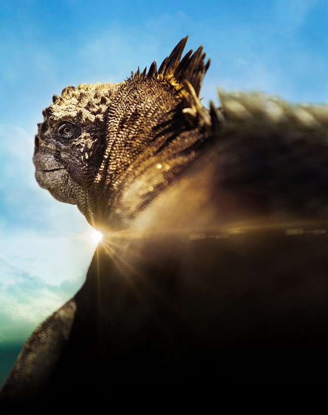 Galapagos: Nature's Wonderland - Werbefoto