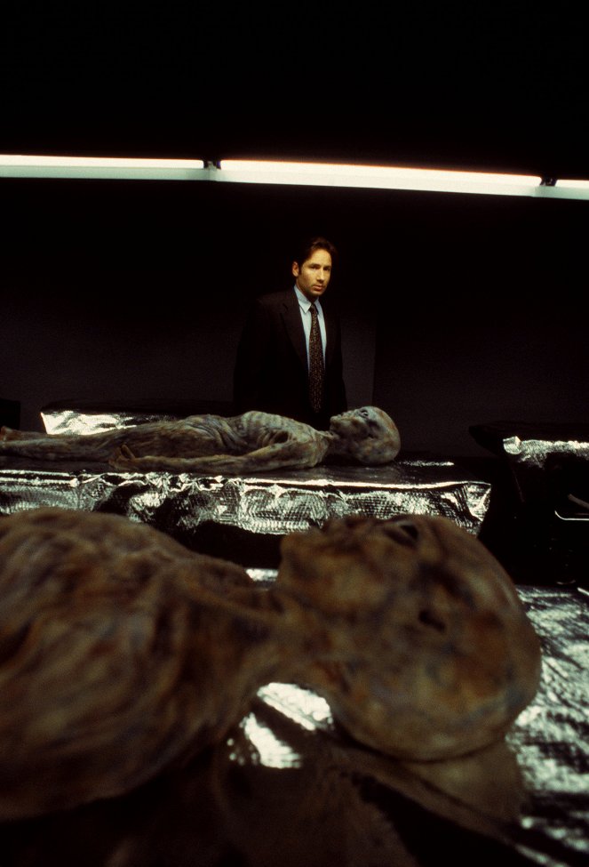 The X-Files - Redux - Van film - David Duchovny