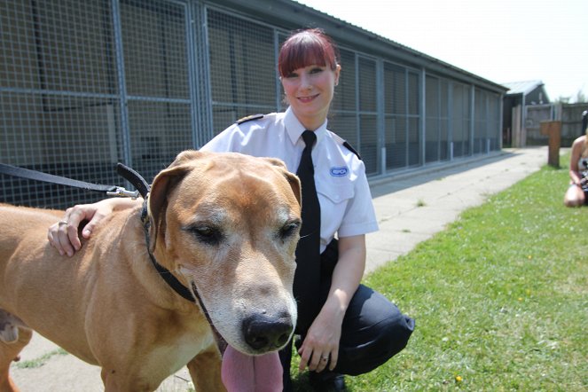 The Dog Rescuers - Photos