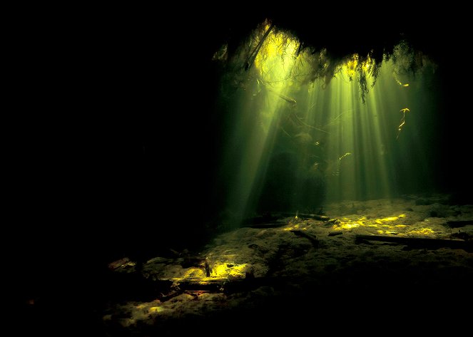 Underwater Okavango - Van film