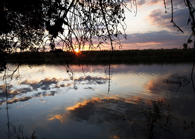 Okavango pod hladinou - Z filmu