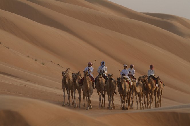 Wild Arabia - Z filmu