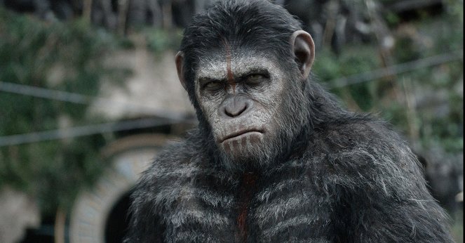 Dawn of the Planet of the Apes - Van film