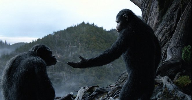 Planeta dos Macacos: A Revolta - Do filme