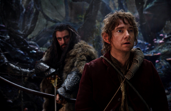 Hobbit: Pustkowie Smauga - Z filmu - Richard Armitage, Martin Freeman