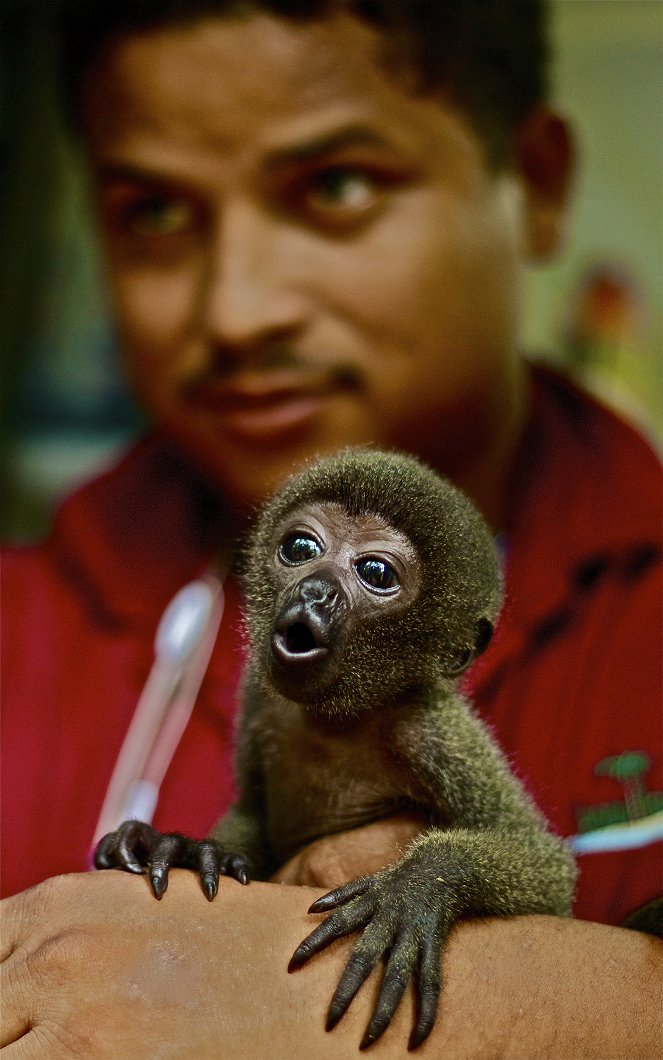 World's Wildest City: Manaus - Filmfotos