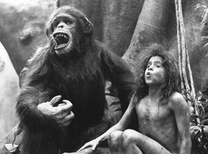 Greystoke: Legenda Tarzanista, apinain kuninkaasta - Kuvat elokuvasta