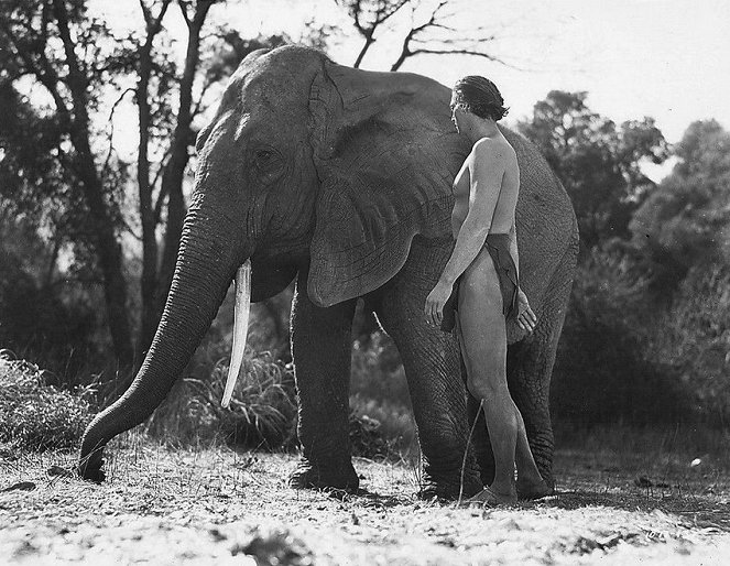 Tarzan és fia - Filmfotók - Johnny Weissmuller