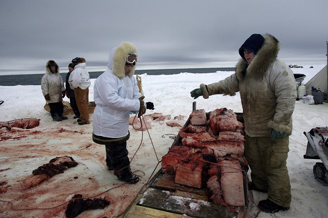 Inside Whale Hunting - Photos